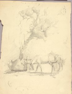 Chevaux et arbres