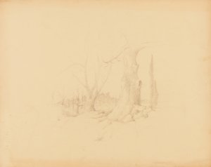 Paysage