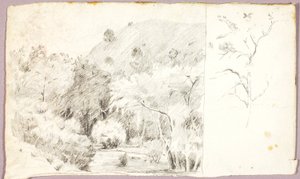 Paysage