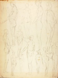 Nus