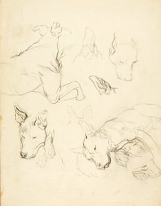 Sleeping Dogs - Solon H. Borglum