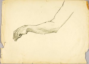 Étude du bras