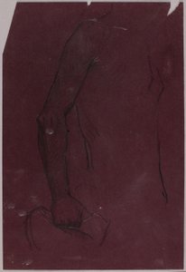 Torse, étude pour le monument équestre