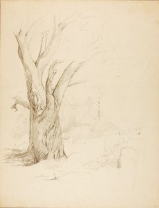 Sans titre
