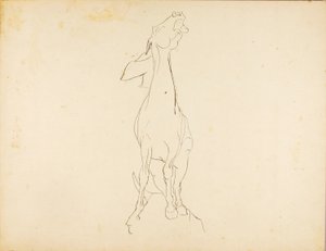 Sans titre - Solon H. Borglum