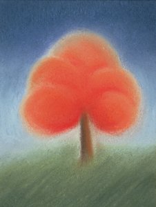 Arbre II