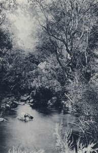 Une scène féerique, près de Witpoortje - South African Photographer