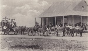 Un Moyen de Transport Original, Zèbres tirant le Carrosse Postal - South African Photographer