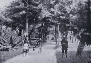 Parc Albert, Durban