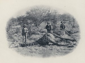 Chasse au gros gibier dans le Transvaal - South African Photographer