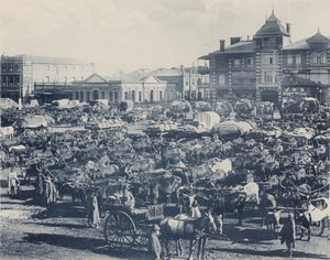 Marché du matin - South African Photographer