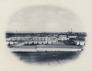 Camp indigène, New Primrose Gold Mining Company
