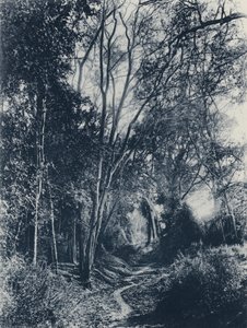 Scène dans le district de Lydenburg