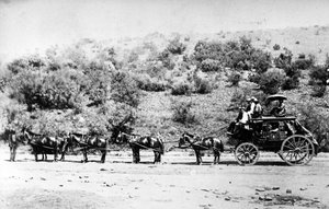 Diligence entrant à Pretoria, vers 1895 - South African Photographer