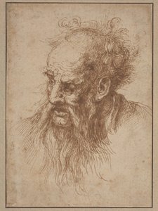 Un vieil homme à la barbe flottante