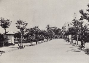 Cadix : Alameda de Apodaca