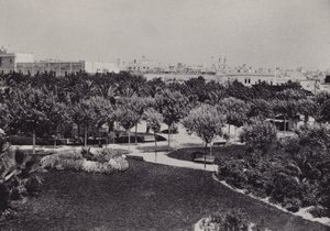 Cadix : Parc Genovés (photo n/b) - Spanish Photographer