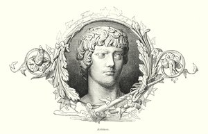 Antinoüs, jeune grec bithynien et favori de l