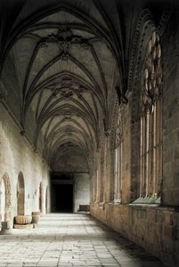Cloître de la cathédrale de Santa Maria de la Asuncion (Sainte Marie de l