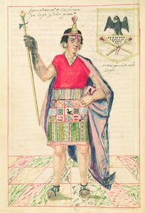 Illustration de Cincheroca, de 