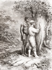 Jules Crevaux, lors de son exploration de la Guyane française en 1878, gravant ses initiales sur un arbre sur les rives du fleuve Oyapock ou Oiapoque - Spanish School