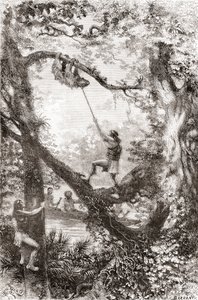 Indiens natifs capturant un paresseux sur le fleuve Oyapock ou Oiapoque, Amérique du Sud - Spanish School
