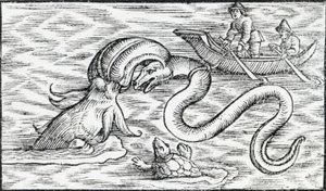 Monstres marins, 1511