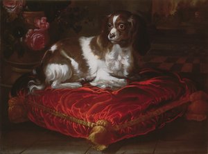 Épagneul sur un coussin