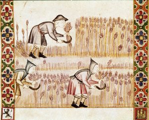 Le paysan moissonne le blé (détail)