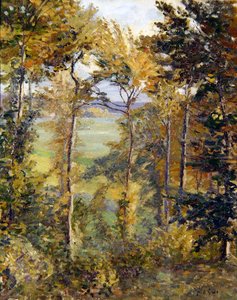 Paysage boisé à Tibermont, Neuville Les Dieppes - Spencer Frederick Gore
