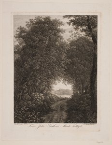 Chemin forestier - Søren Henrik Petersen