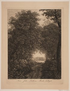 Chemin forestier - Søren Henrik Petersen