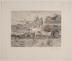 Le vieux cheval et la mort