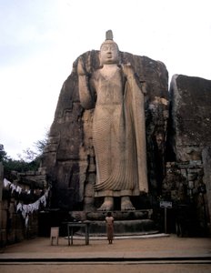 Le grand Bouddha d