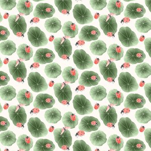 Motif coordonné de capucine coloris 2