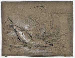 Étude de poisson - Stanislas Torrents y de Amat