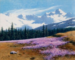 Crocus avec montagnes enneigées en arrière-plan
