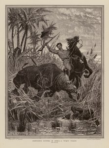 Chasse au rhinocéros en Afrique - Stanley (after) Berkeley