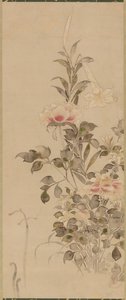 Pivoines et lys, période Momoyama ou Edo, 1568-1615 - Sôtatsu