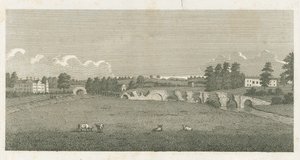 Pont de Wolseley : gravure - Stebbing Shaw