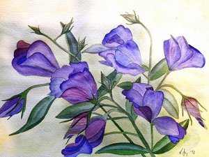 Fleurs lilas - Steegs Art Karin