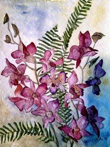 Orchidée - Steegs Art Karin