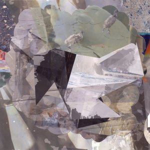 Oiseaux abstraits en superposition