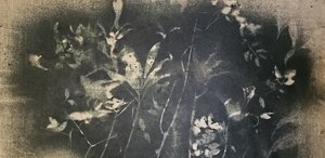  - Stefano Mazzolini