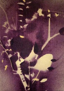 Motifs botaniques violet profond - Stefano Mazzolini