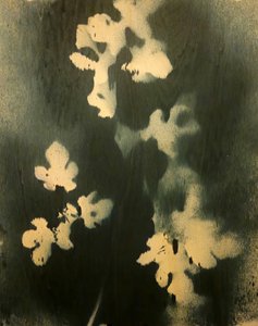  - Stefano Mazzolini