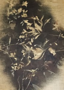 Ombres florales mélancoliques - Stefano Mazzolini