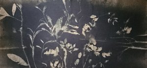 Floraison du jardin d