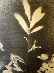  - Stefano Mazzolini