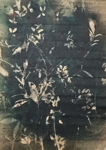  - Stefano Mazzolini
